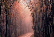 开云体育官网-西班牙网球队绝地反击英国网球队，德约科维奇绝境逆转