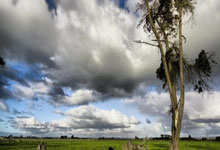 开云平台-丹麦羽毛球队轻取法国羽毛球队，谌龙三分雨点燃全场