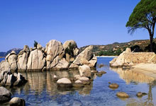 开云体育登录-马来西亚羽毛球队横扫丹麦羽毛球队，斯里坎特爆发神勇