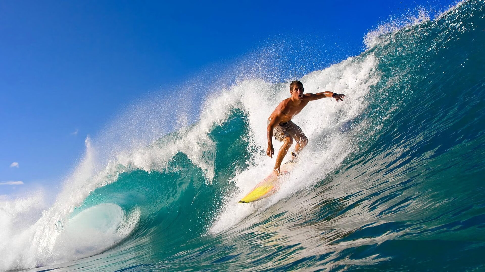 开云体育入口-上海滩的紫金风暴，当西决生死战遇上东方巅峰对决